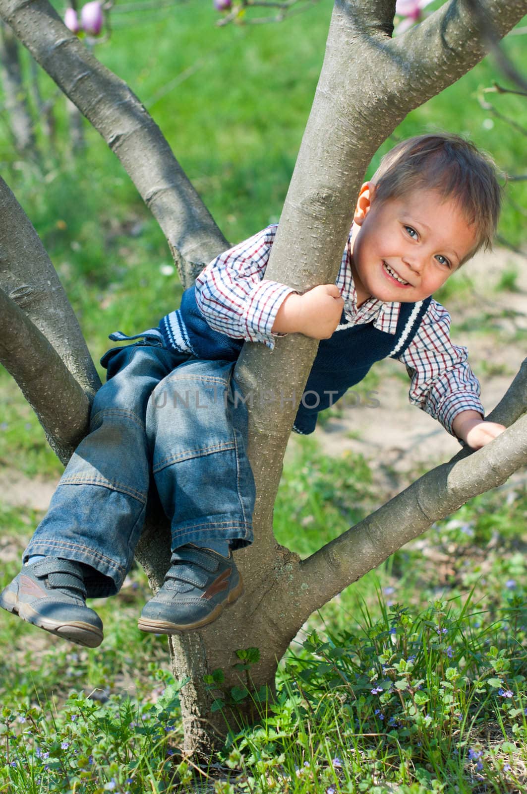 Cute 2 years old boy climbs In big Tree