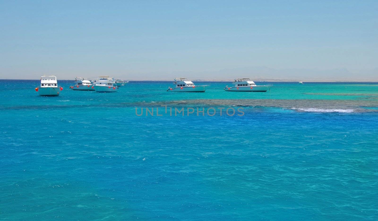 group of white boats on turquoise water of Red Sea, Egypt