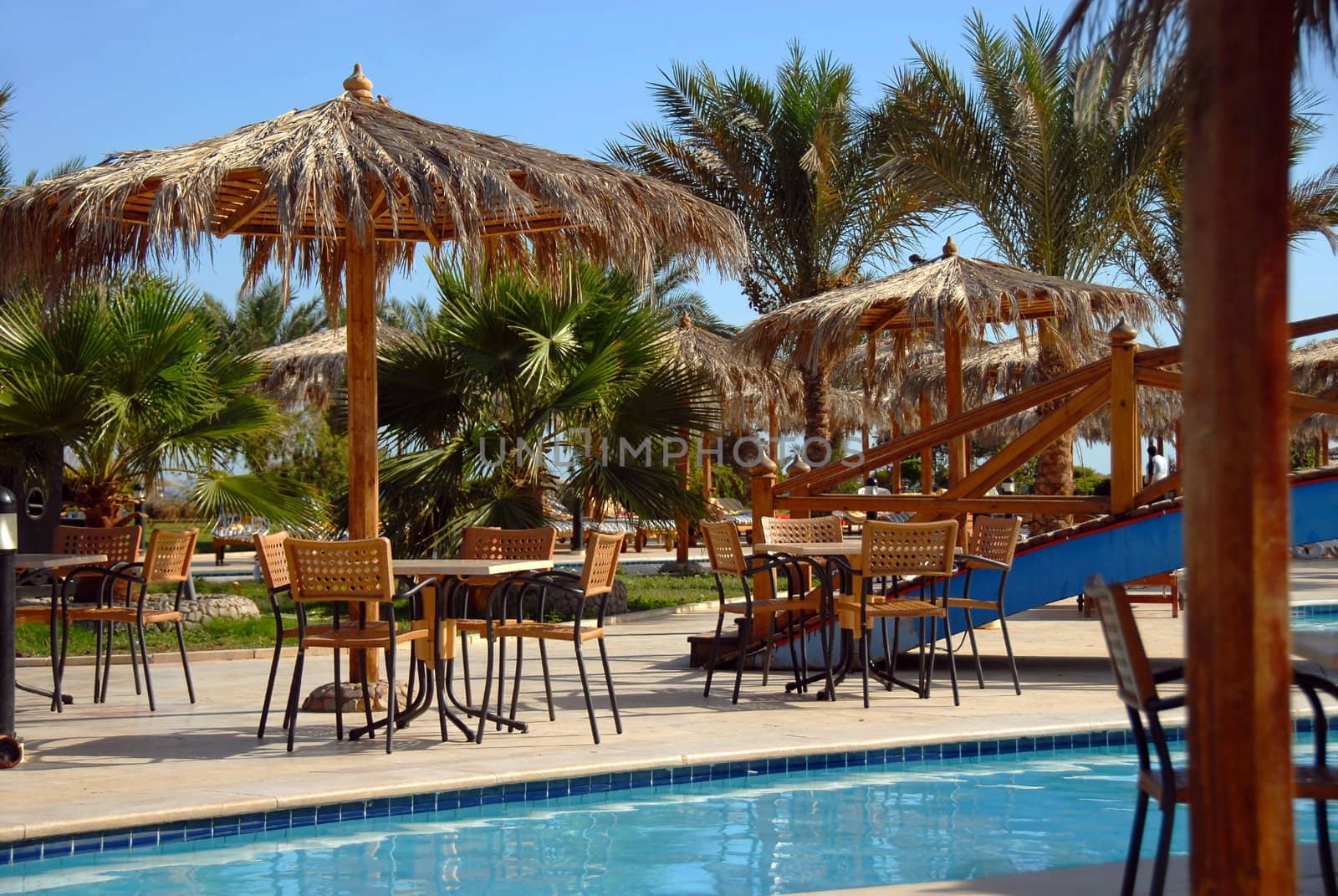 palms and tables by swimming pool at summer resort in Egypt