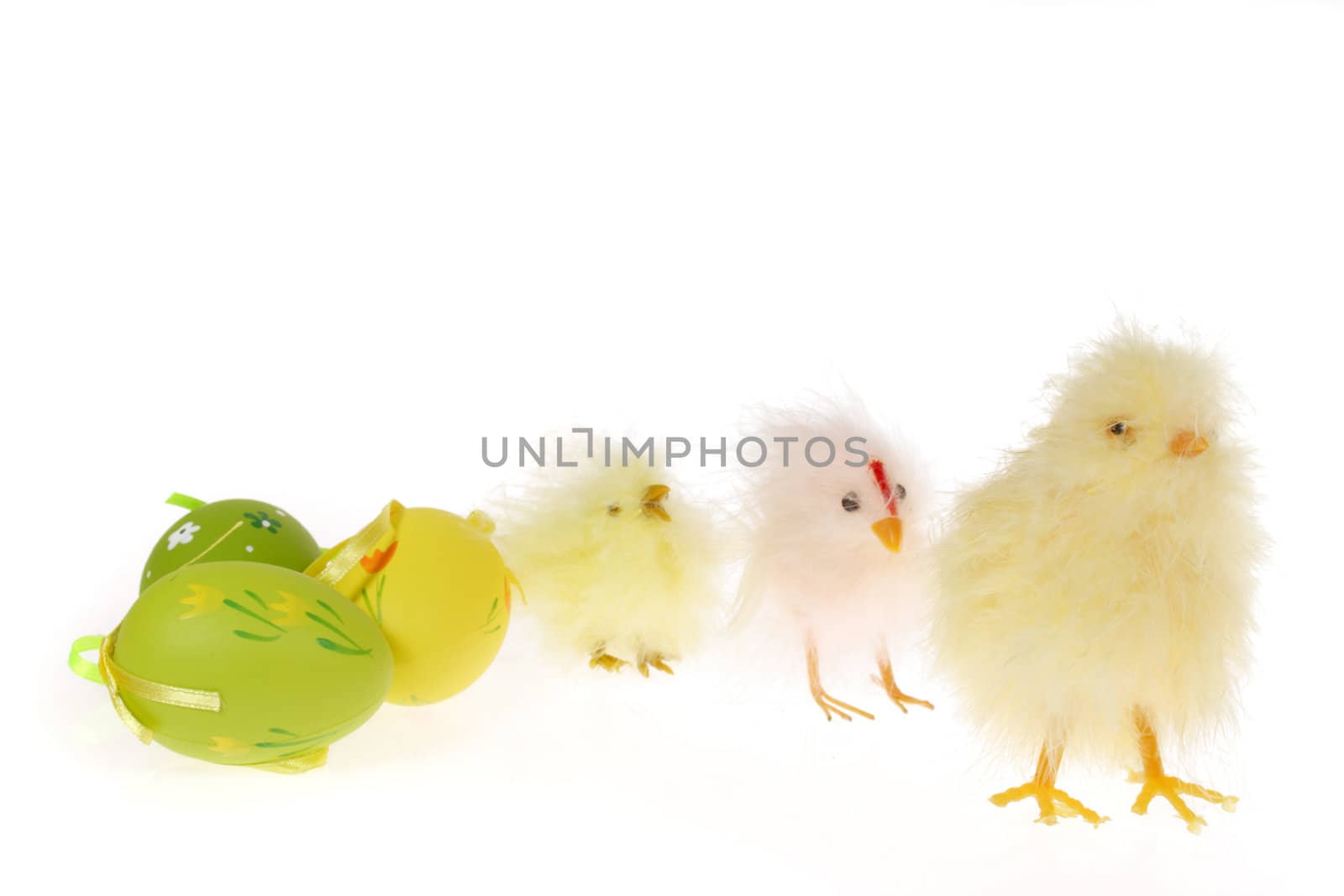 Easter chicks, photo on the white background