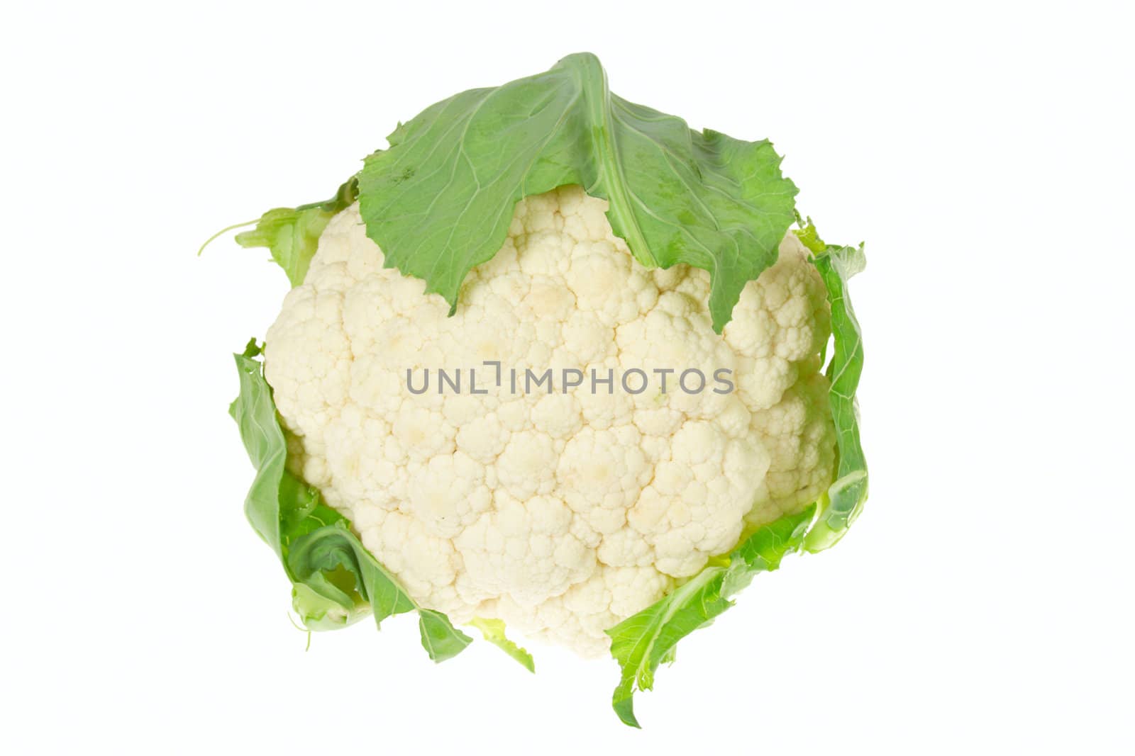Cauliflower isolated, photo on the white background