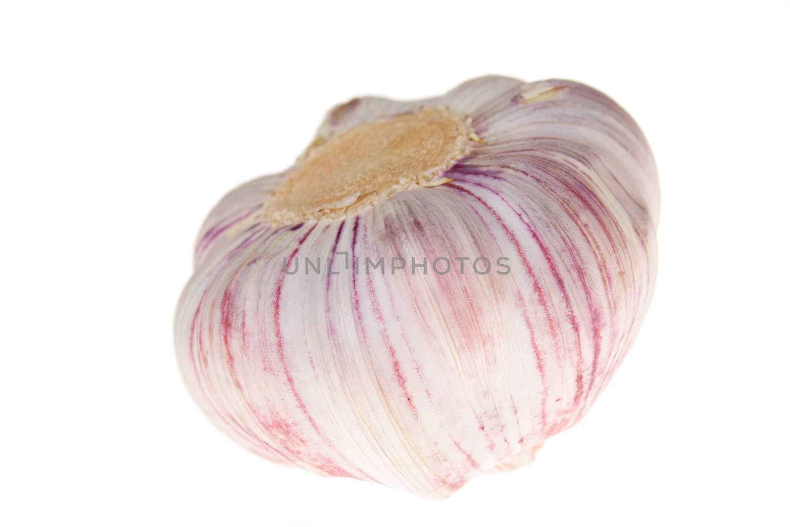 one Garlic photo on the white background