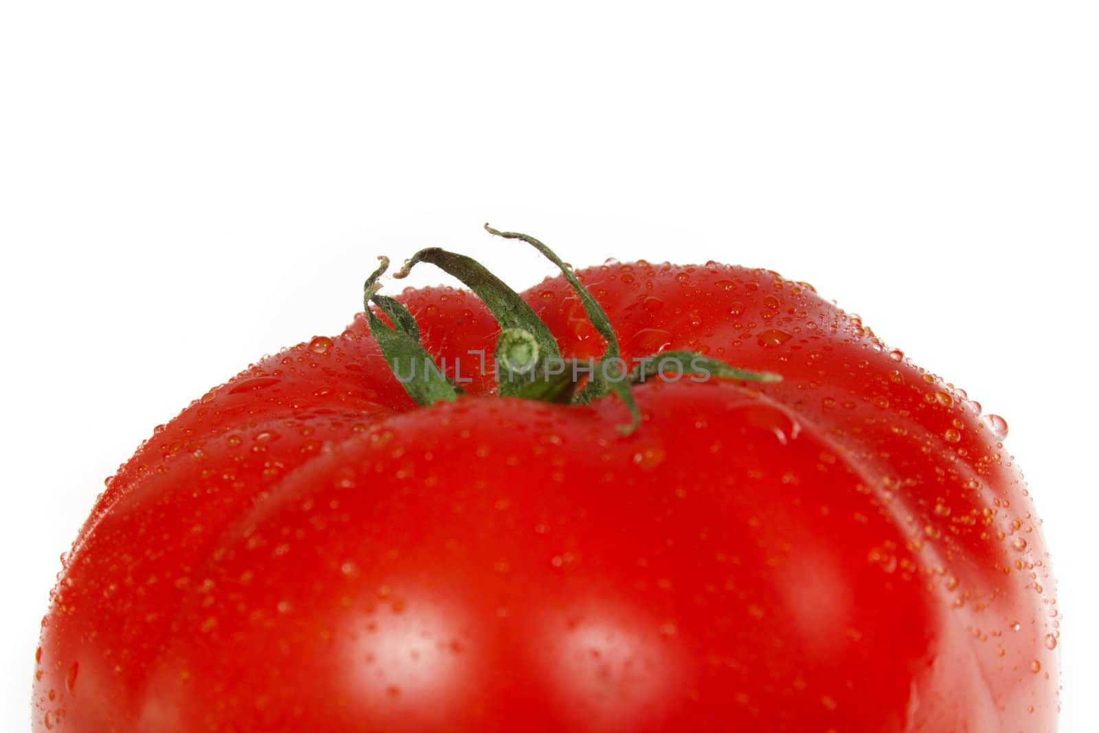 red tomato, photo on the white background