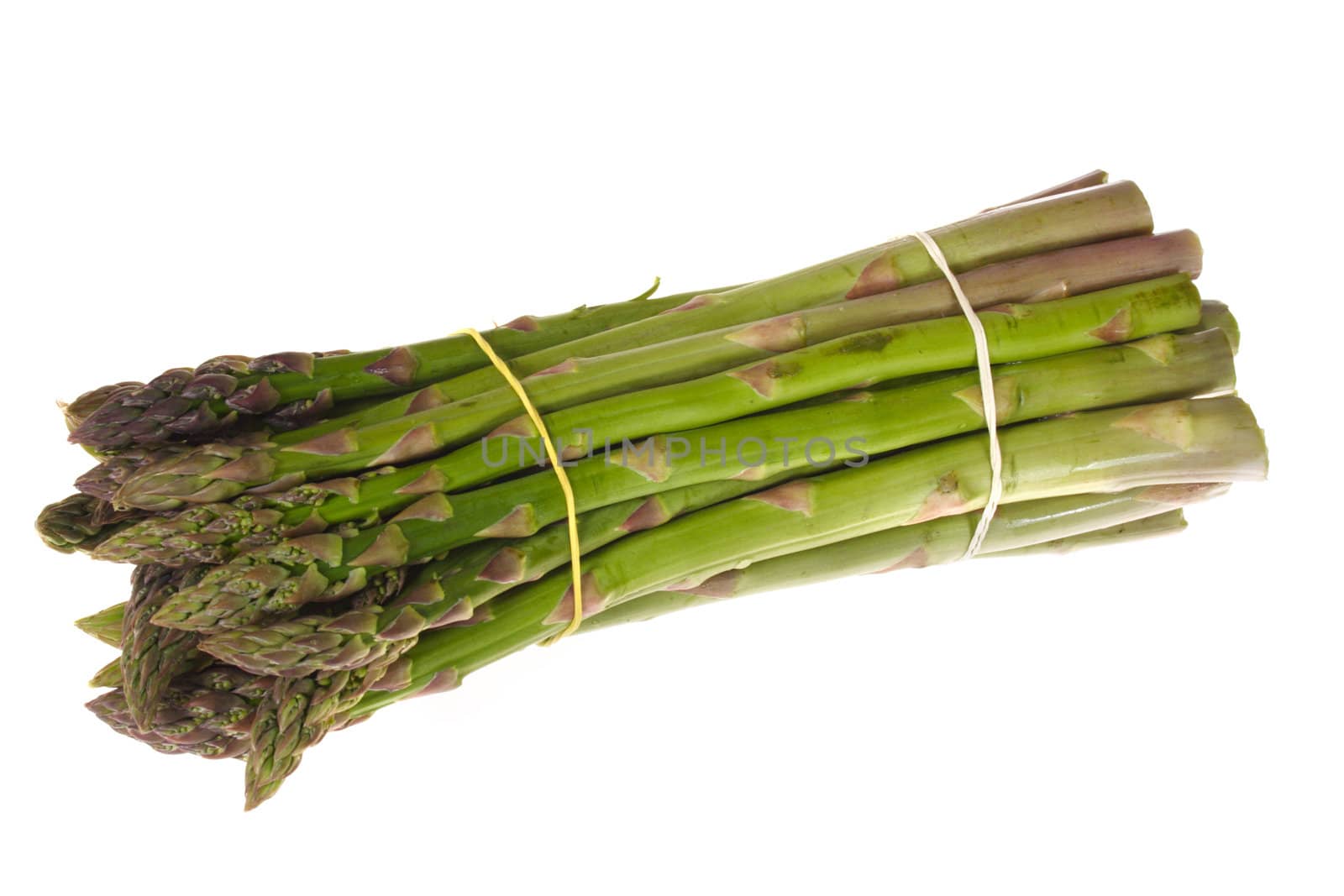 Fresh asparagus, photo on the white background