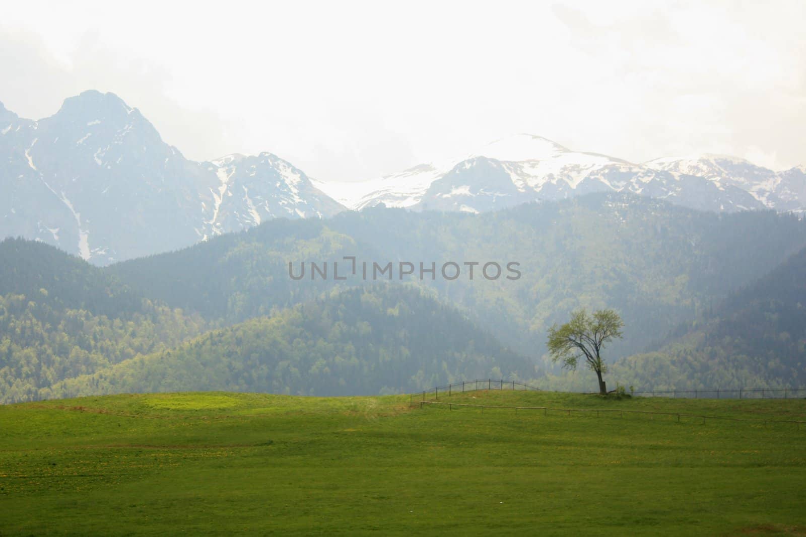 The beautiful mountain in Poland