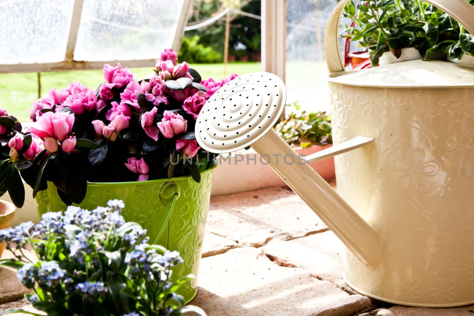 Watering cans, concept of gardening and hobby