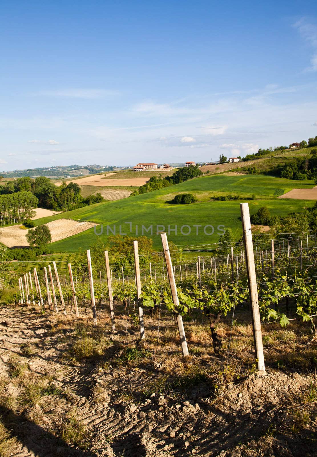 Landscape of Monferrato area in Piedmont region - Italy
