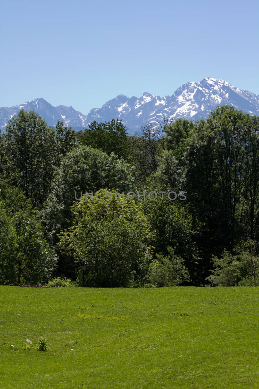 The Alpine mountains of Austria below the warm sun of summer
