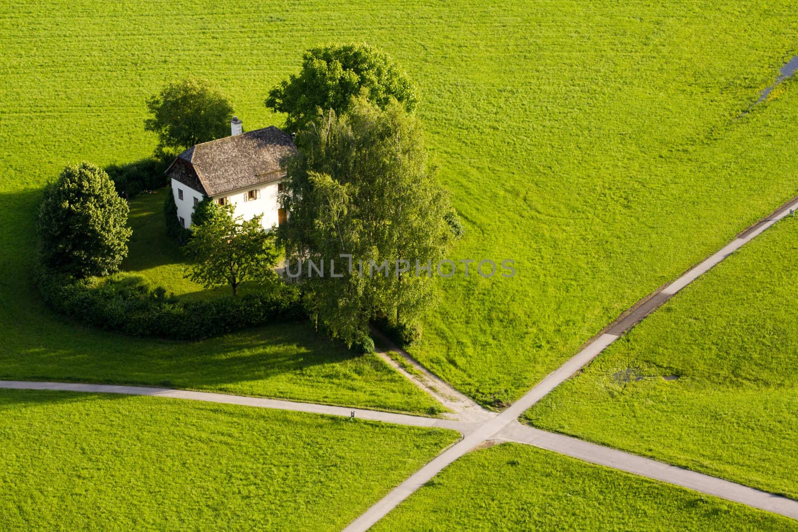 A Cottage in a meadow in summer with multiple paths