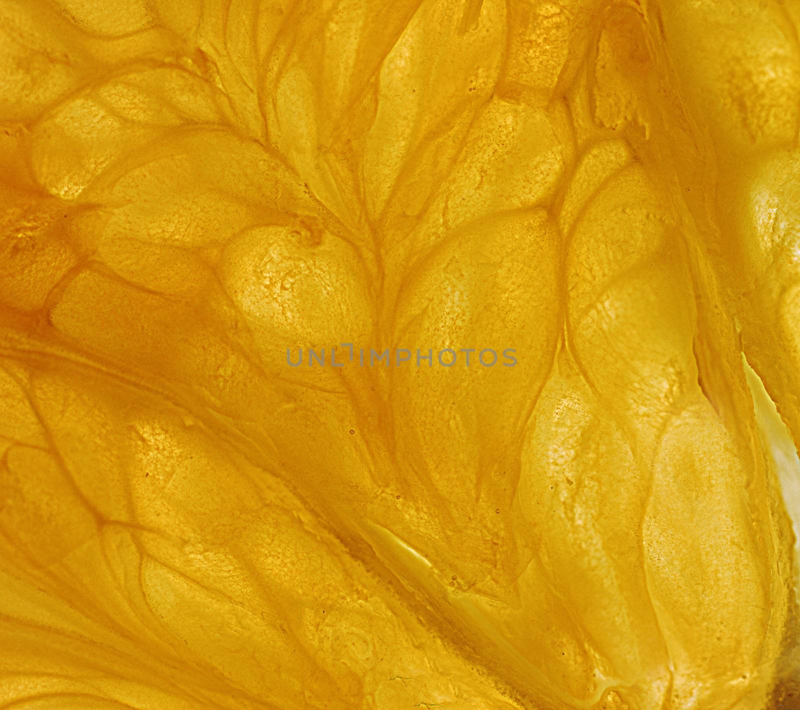 Abstract texture. A photo close up structures of a dry orange