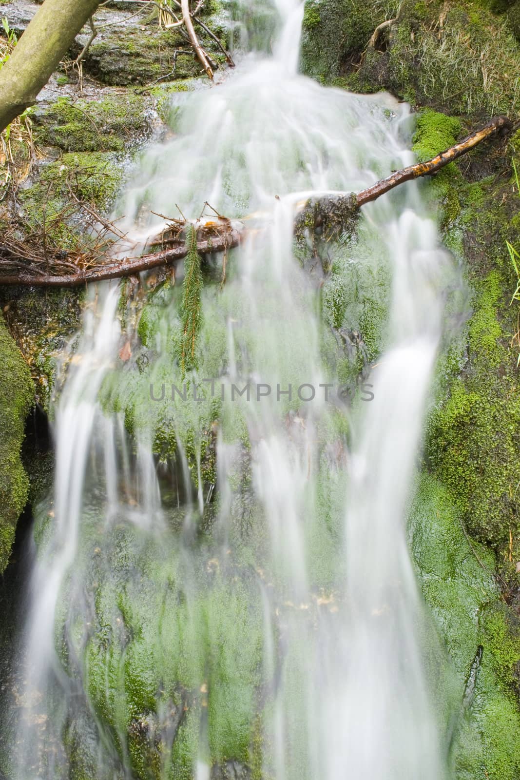 Stream in the Green by werg