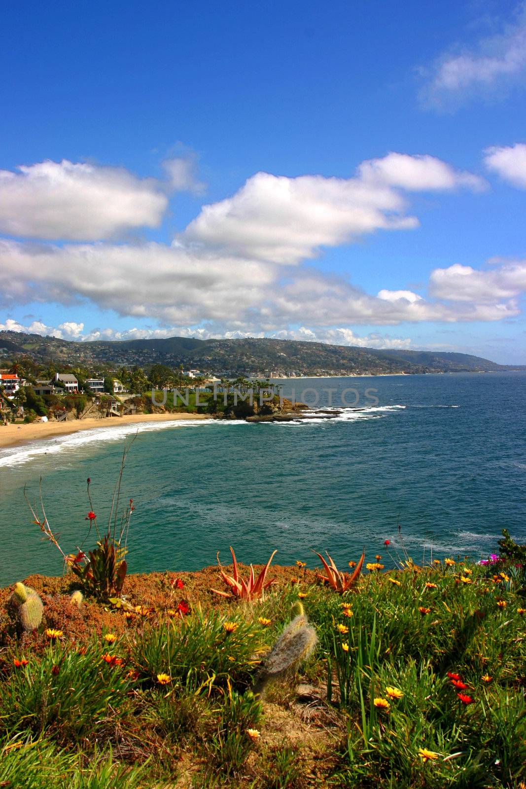 Vertical shot of Crescent Bay in Laguna Beach California