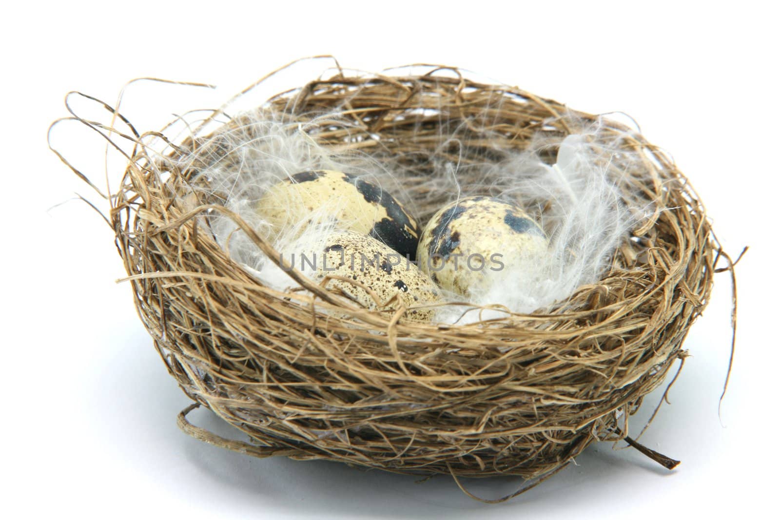 three small  eggs in a nest with feathers isolated on white background