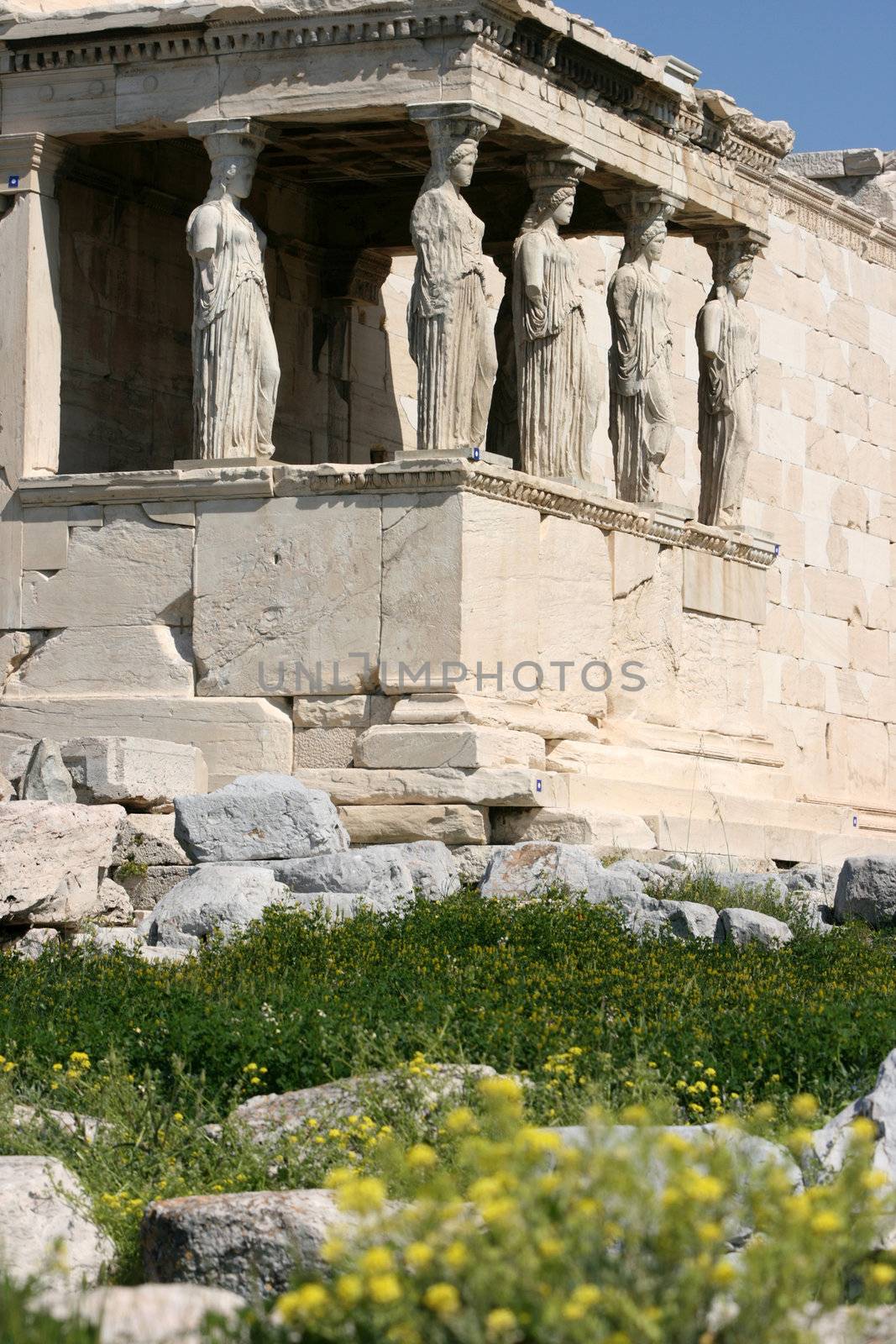spring flowers at  temple of Erechtheum on acropolis of Athens Greece