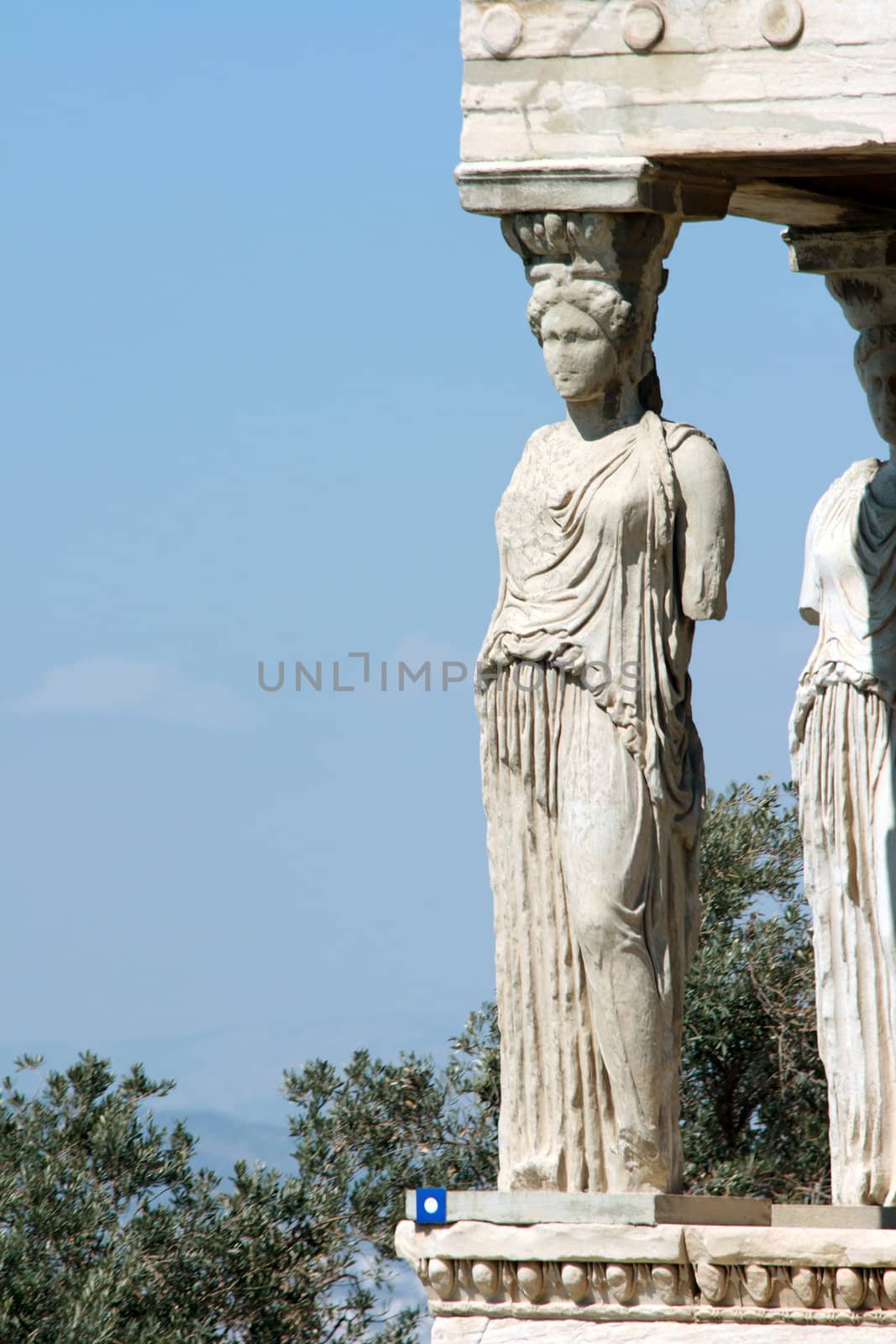 caryatid and nature at Erechtheum on Parthenon in Athens, Greece