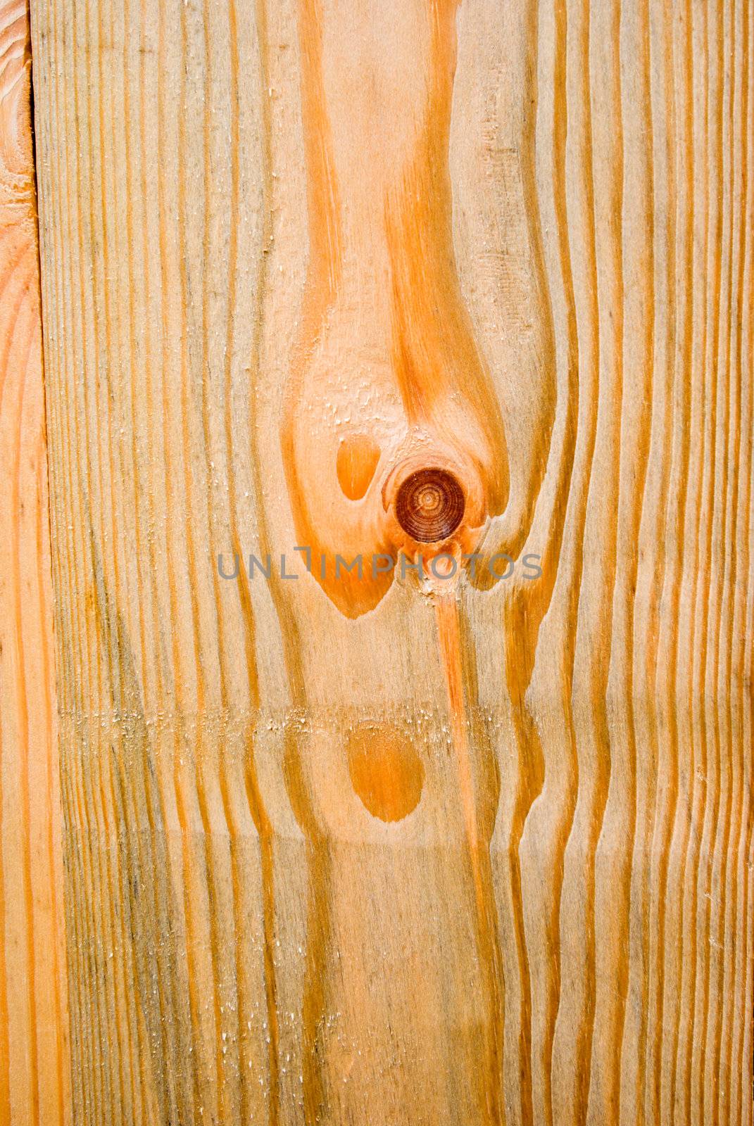 Wooden  background.wooden gnarl 