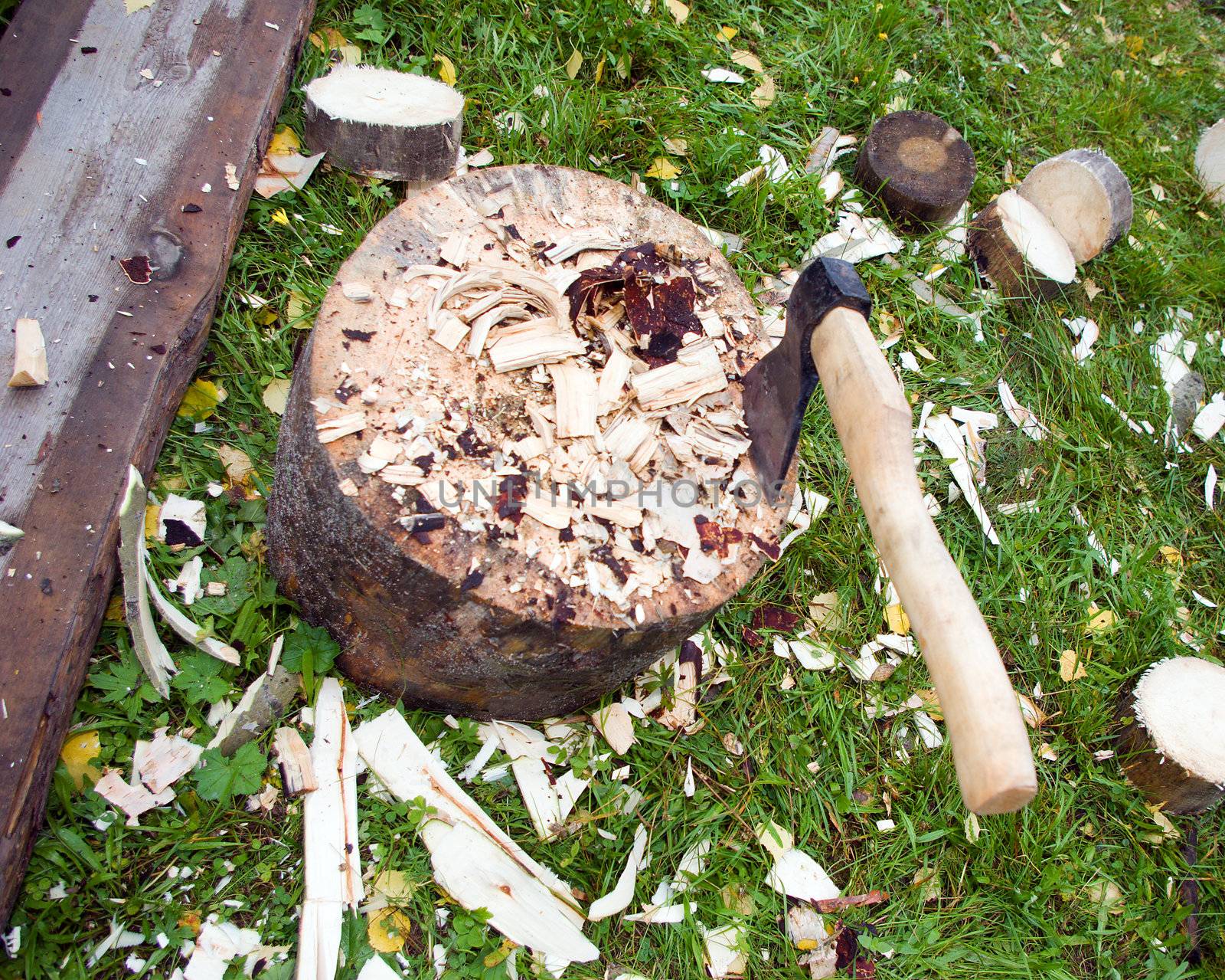 Axe and log.rural view