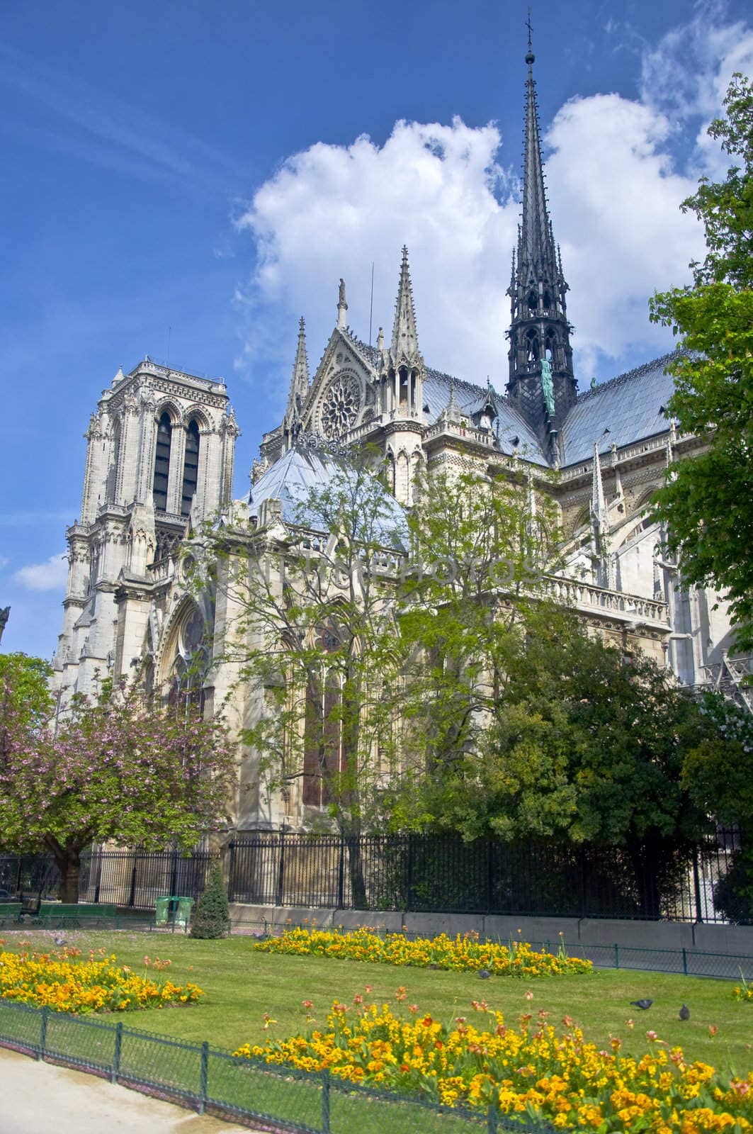 Notre Dame de Paris. The view from the park. Urban scene, Spring.