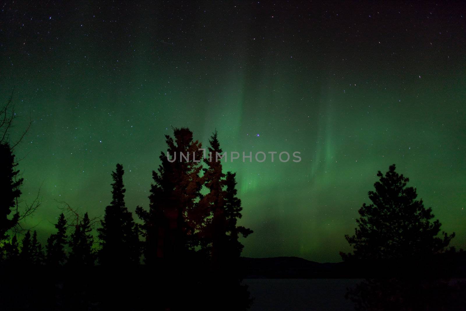 Aurora Borealis (Northern Lights) display over frozen Lake Laber by PiLens