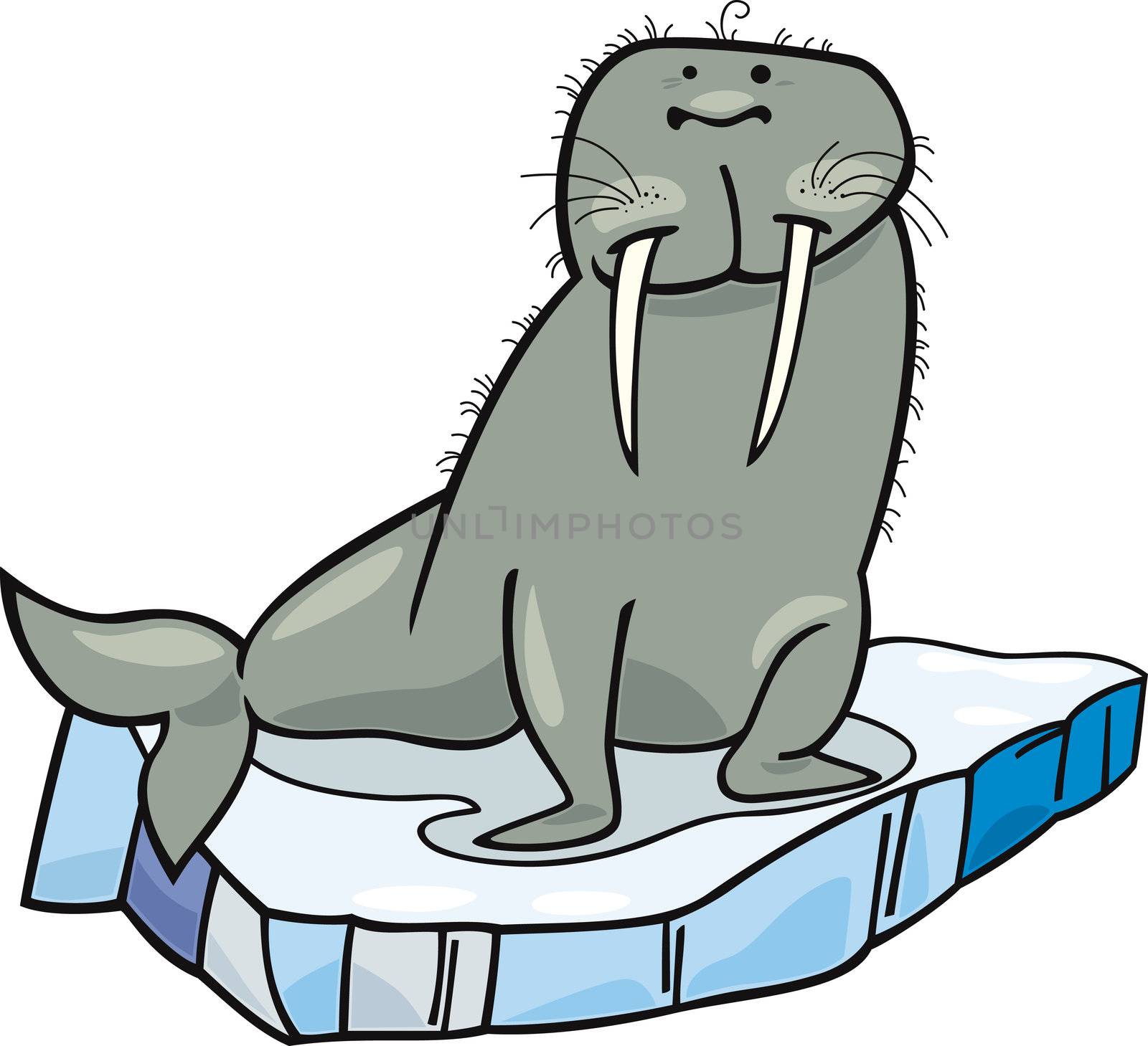 cartoon illustrationof walrus on floating ice