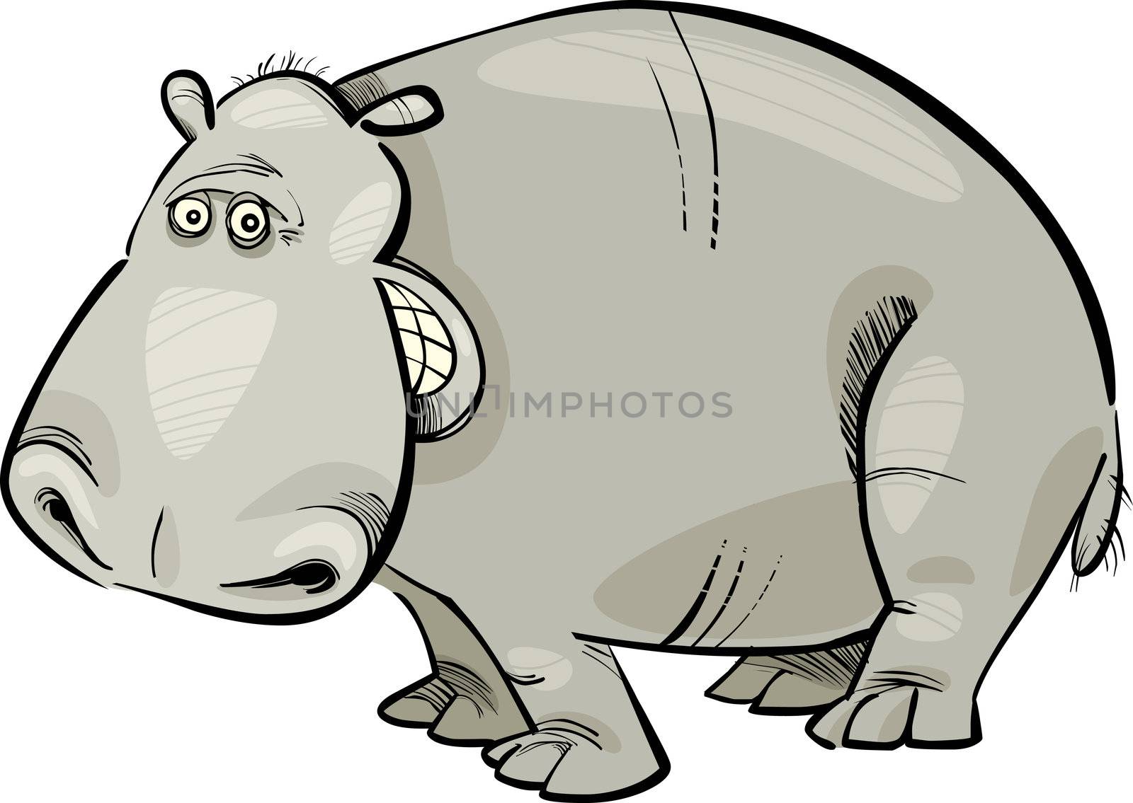 cartoon Illustration of funny Hippopotamus