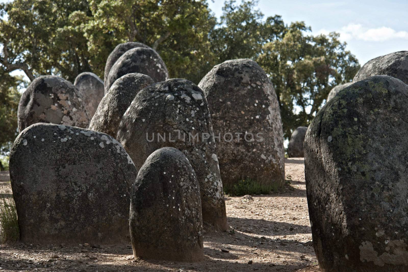 Menhirs in megalithic monument of Cromelech dos Almendres - Evora -Portugal