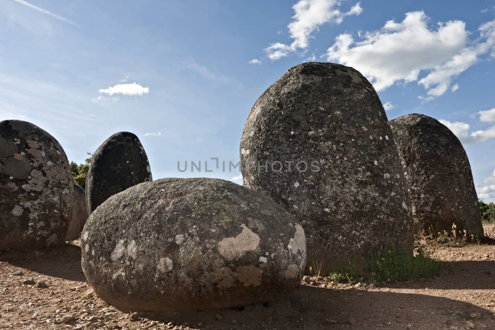 Menhirs in megalithic monument of Cromelech dos Almendres - Evora -Portugal