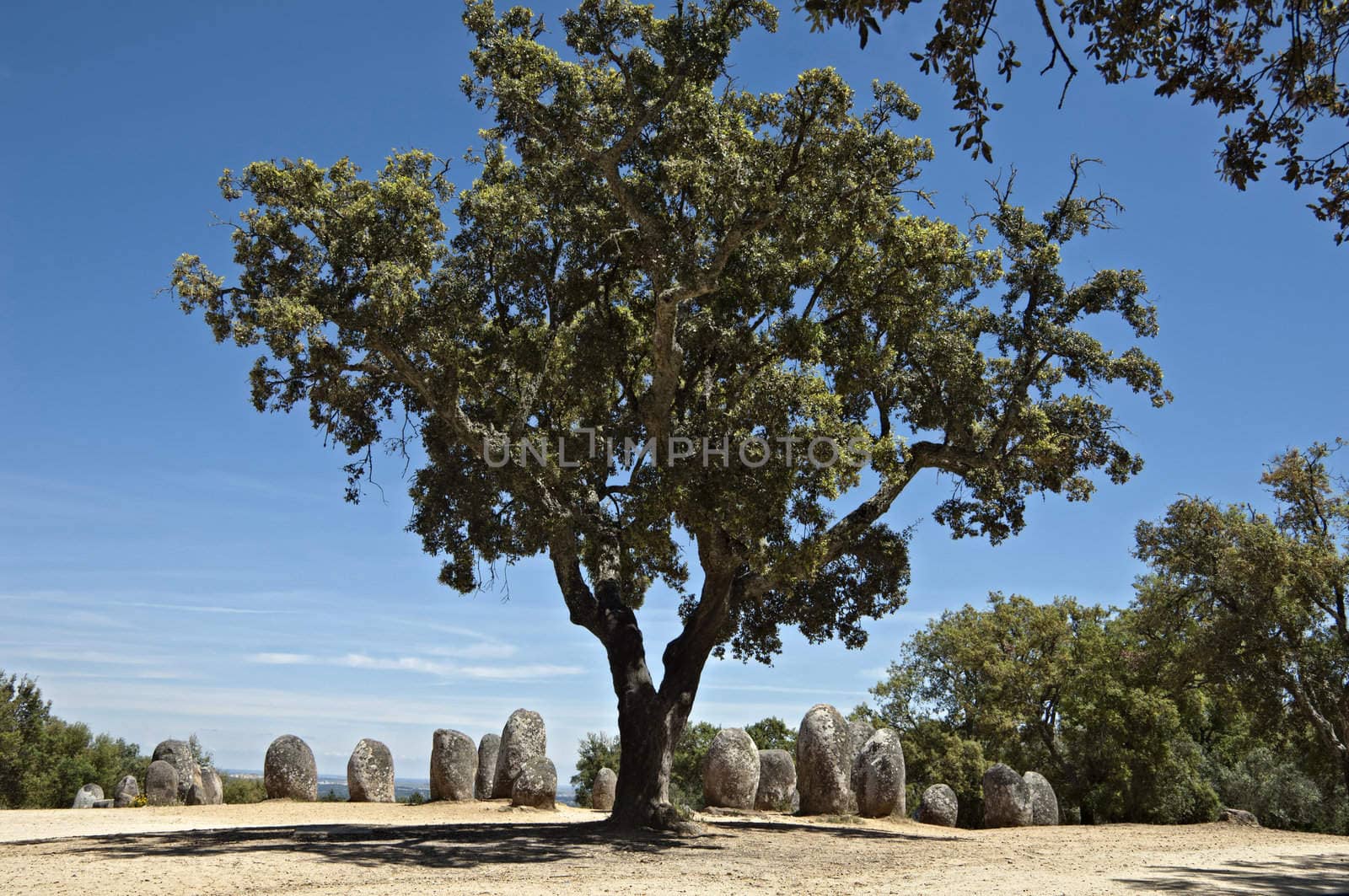 Menhirs in megalithic monument of Cromelech dos Almendres - Evora -Portugal