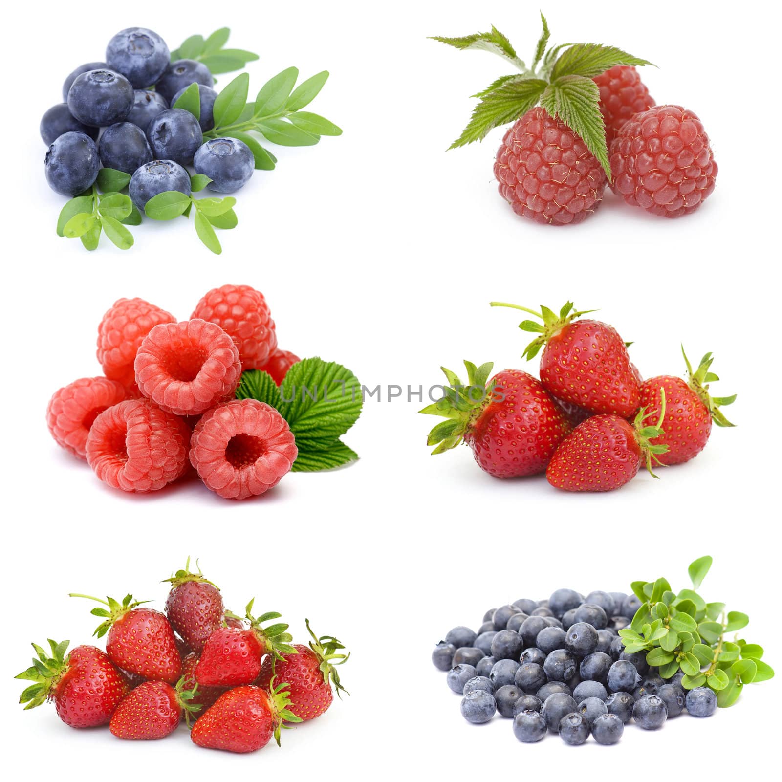 collection of fresh fruits