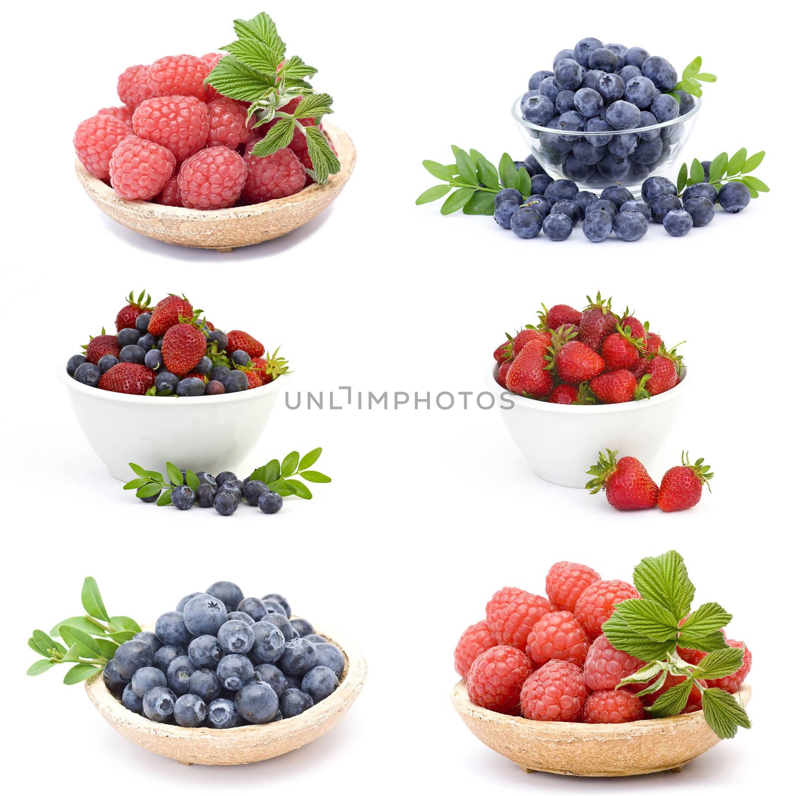 collection of fresh fruits