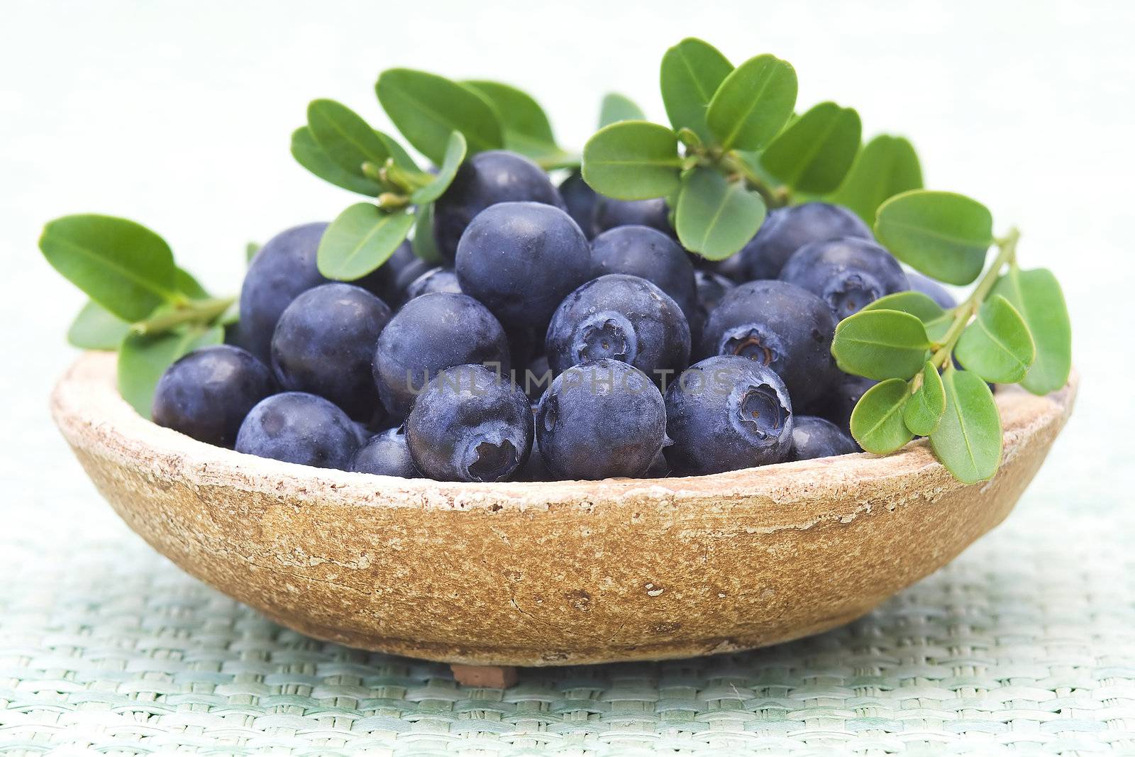 fresh blueberries on a plate
