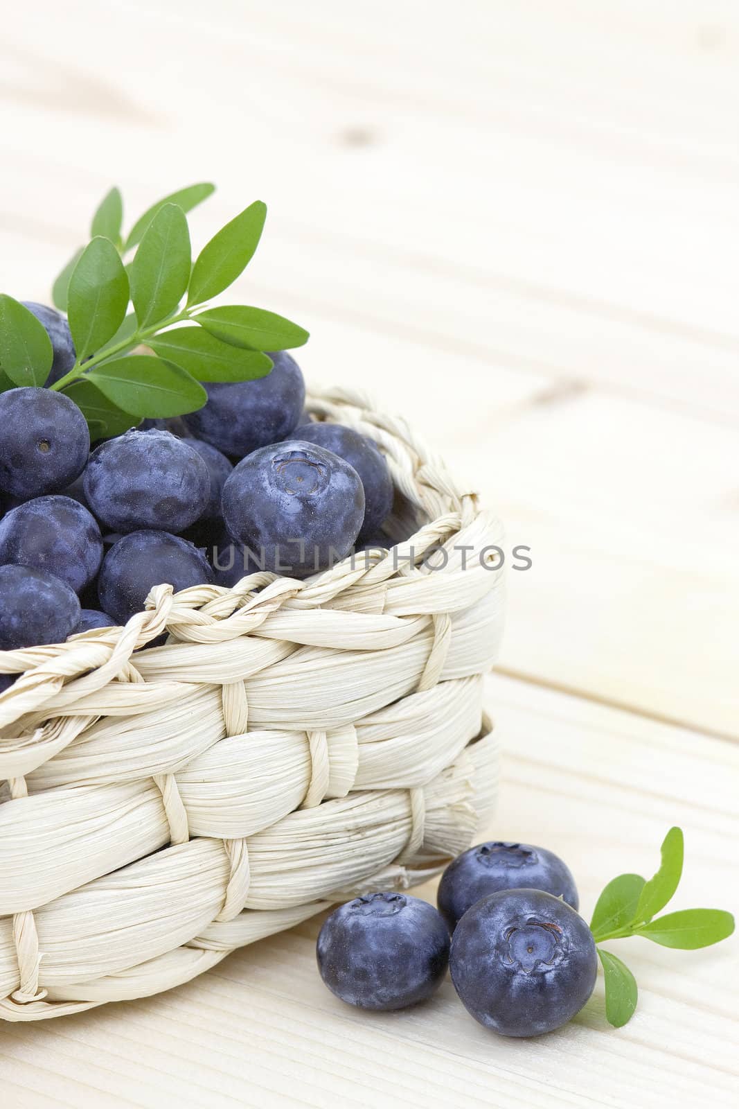 fresh blueberries in a basket by miradrozdowski