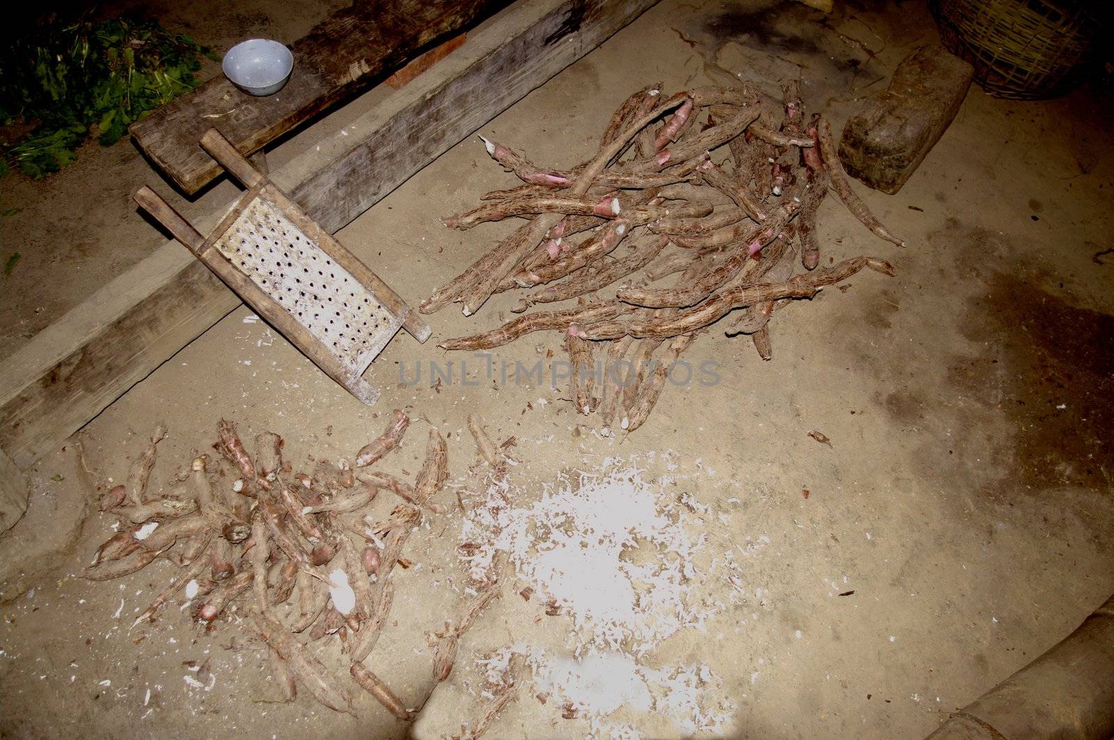 Cassava is a food of the people and land poor. In northern Vietnam, where the slopes are often too dry to grow rice, it is replaced by cassava uses less water. Here we see the domestic grate.