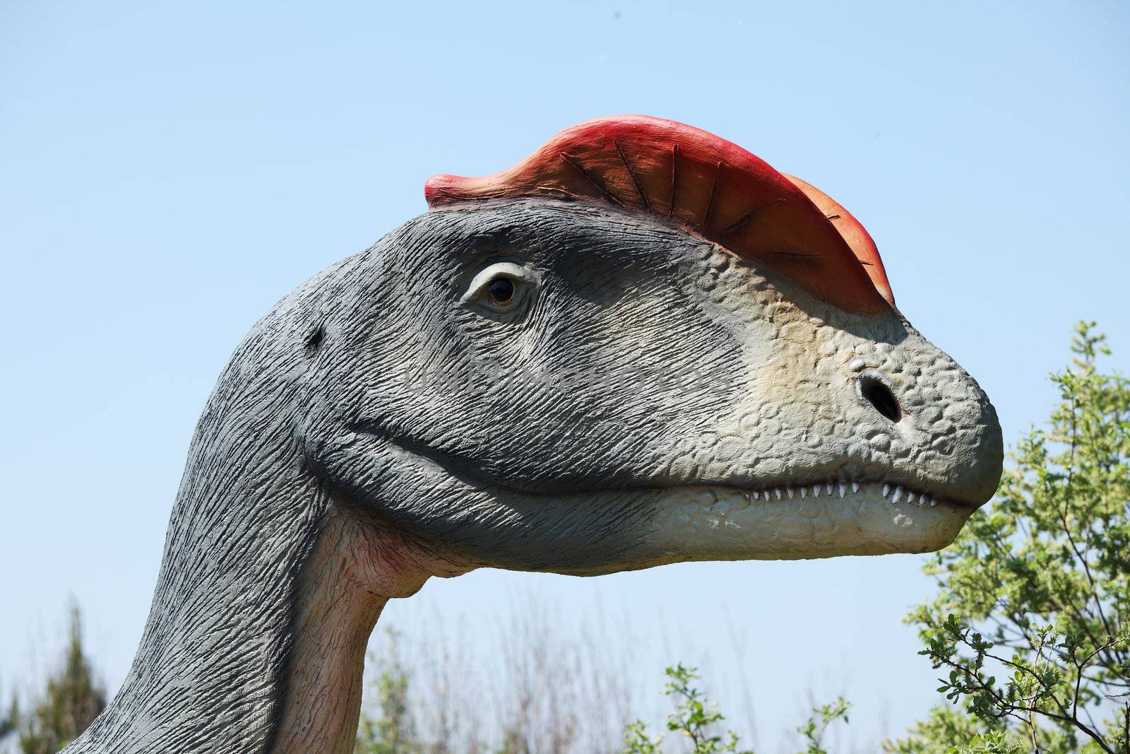 Dinosaur - Dilophosaurus head against blue sky