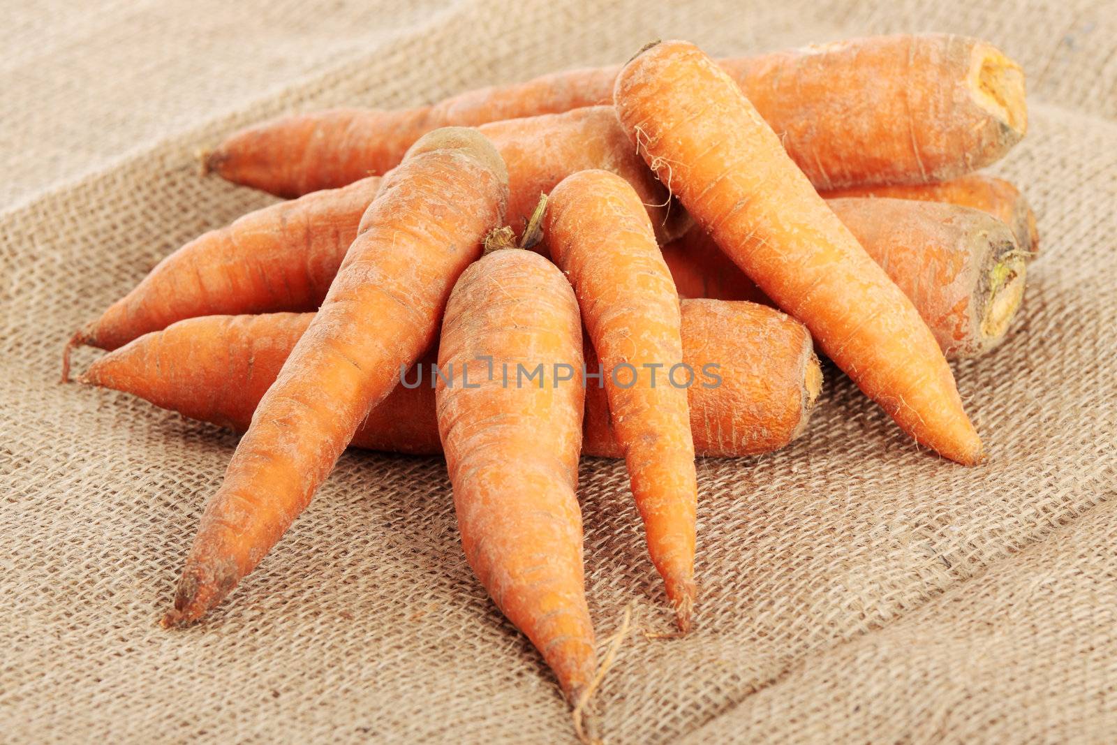 Carrots by BDS