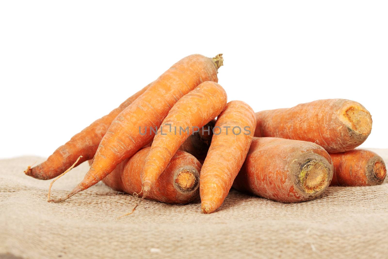 Fresh ecologycal carrots (eco food concept)