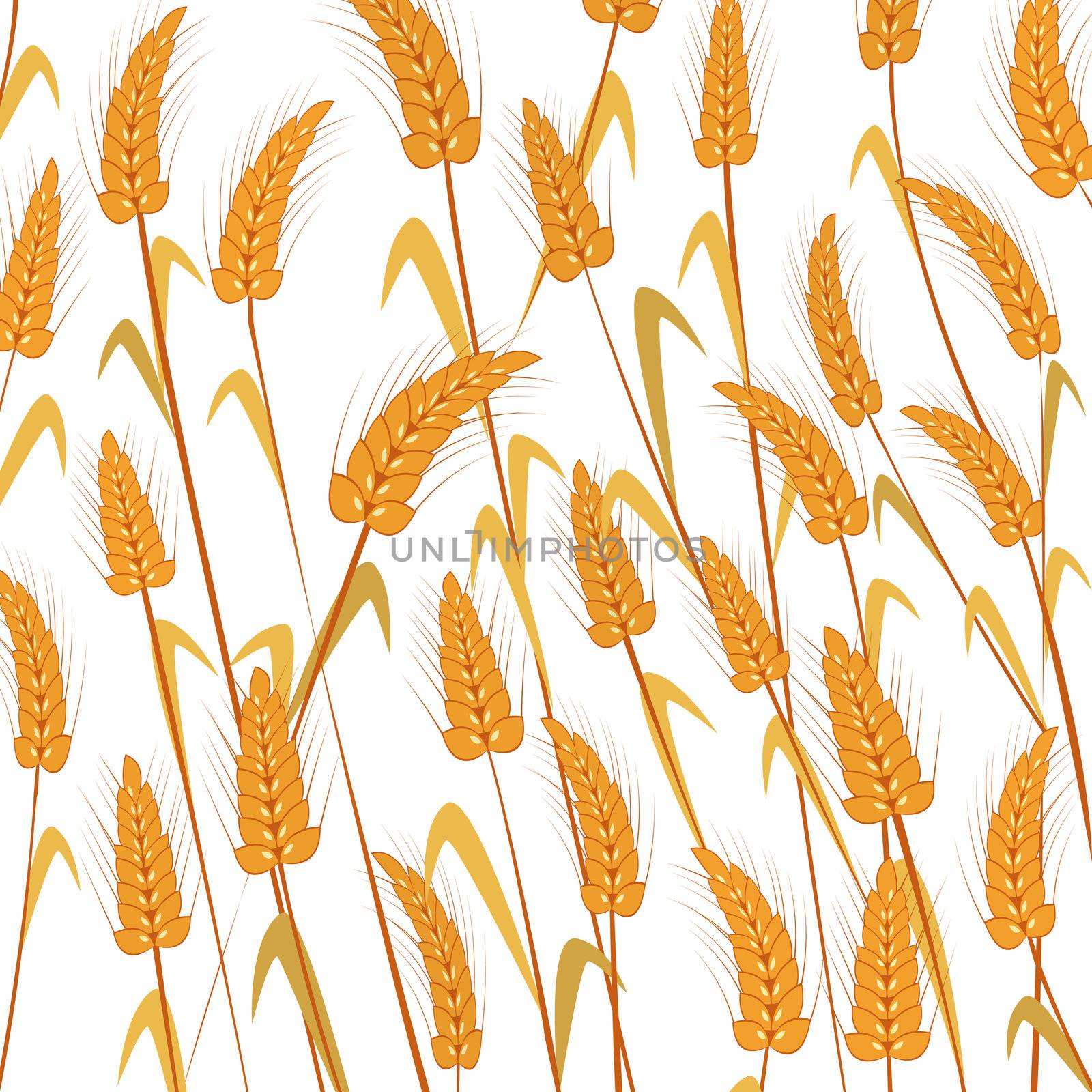 Wheat background. Isolated and grouped objects over white .