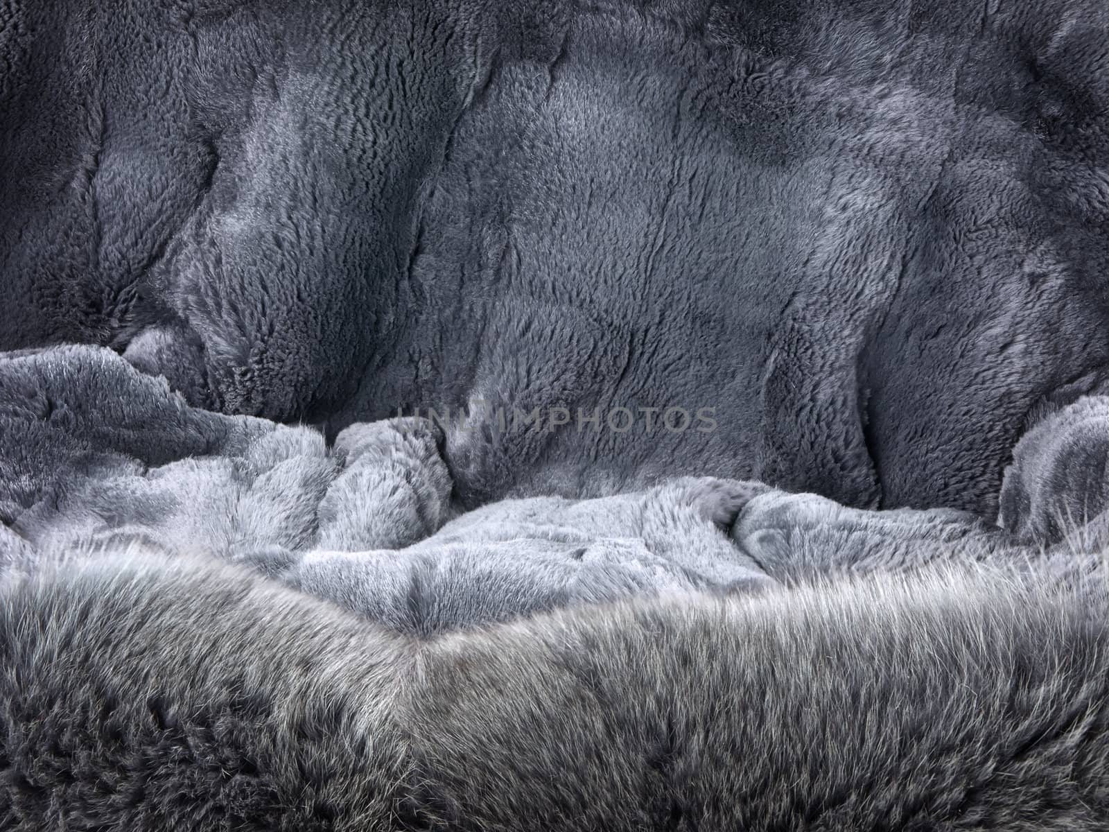 natural soft grey fur background