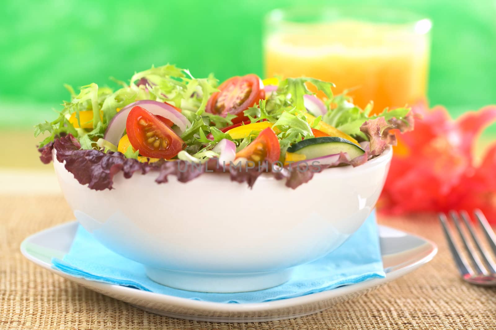 Fresh mixed salad from red-leaf lettuce, curly endive (frisee), cherry tomato, red onion, cucumber and red and yellow bell pepper in white bowl with fresh juice in the back (Selective Focus, Focus on the tomato piece on the left) 