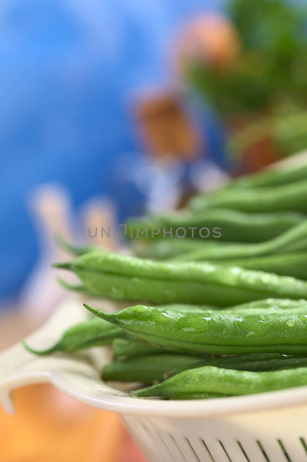 Fresh raw green beans sprinkled with water in plastic strainer (Selective Focus, Focus on the bean one third into the strainer)