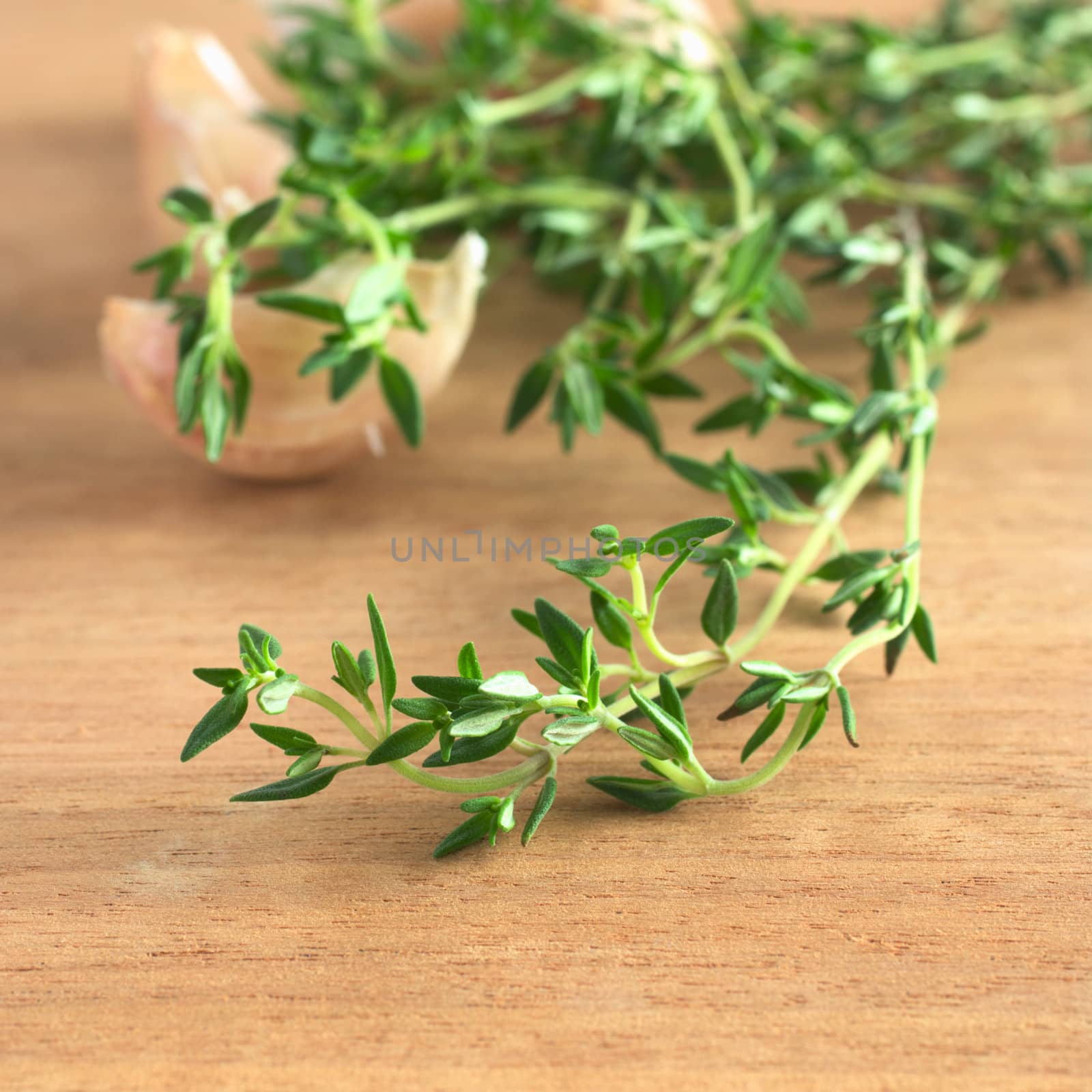 Fresh thyme with garlic in the back on wooden board (Very Shallow Depth of Field, Focus on some front leaves) 