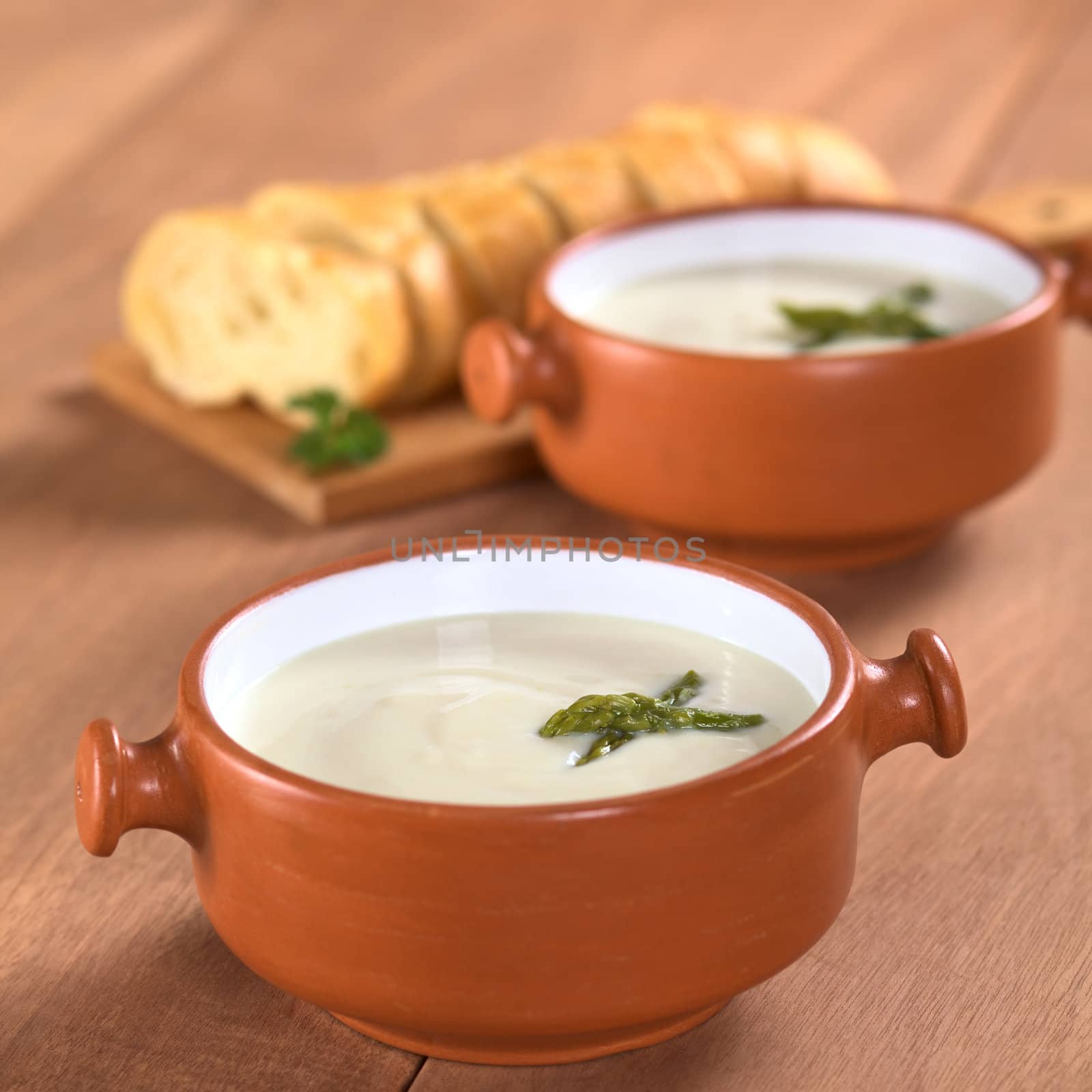 Cream of Asparagus in Rustic Bowl by ildi