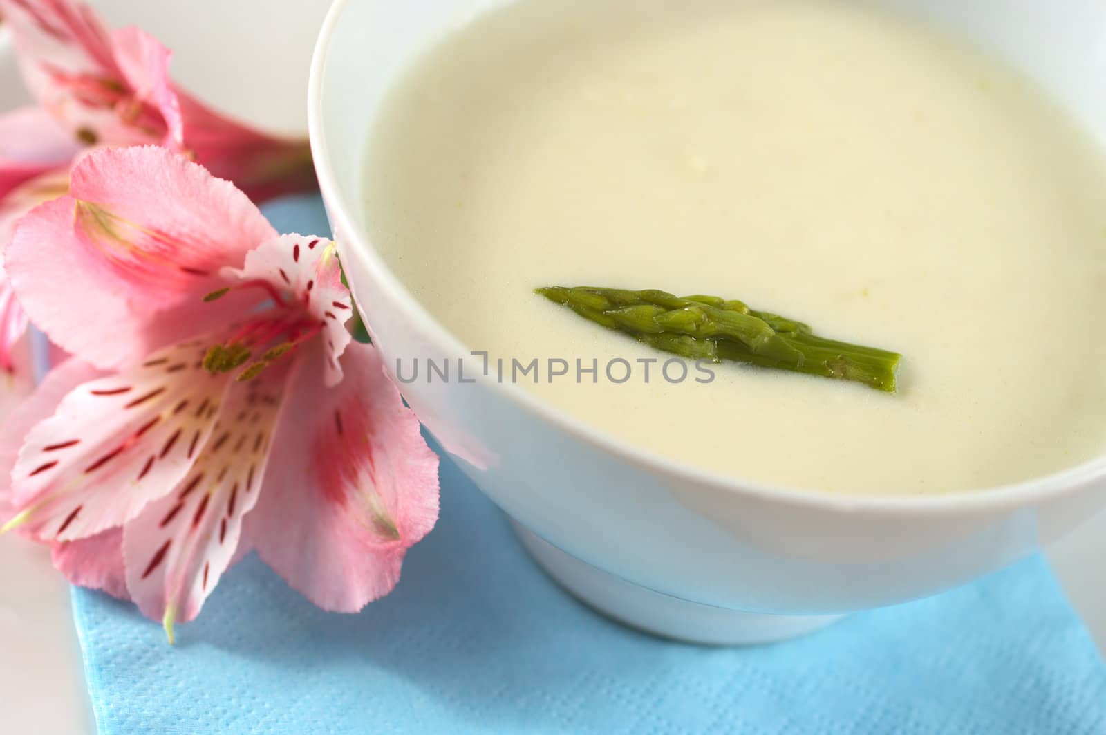 Cream of asparagus with a green asparagus head on top in a white bowl with a pink Inca Lily beside (Very Shallow Depth of Field, Focus on the asparagus head in the soup)