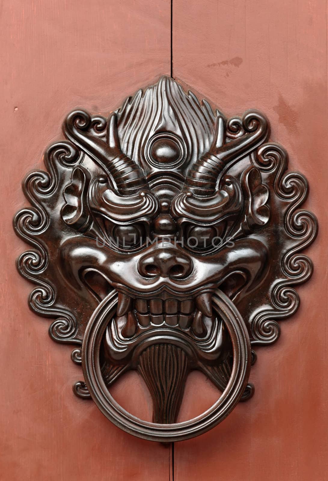 lion door lock