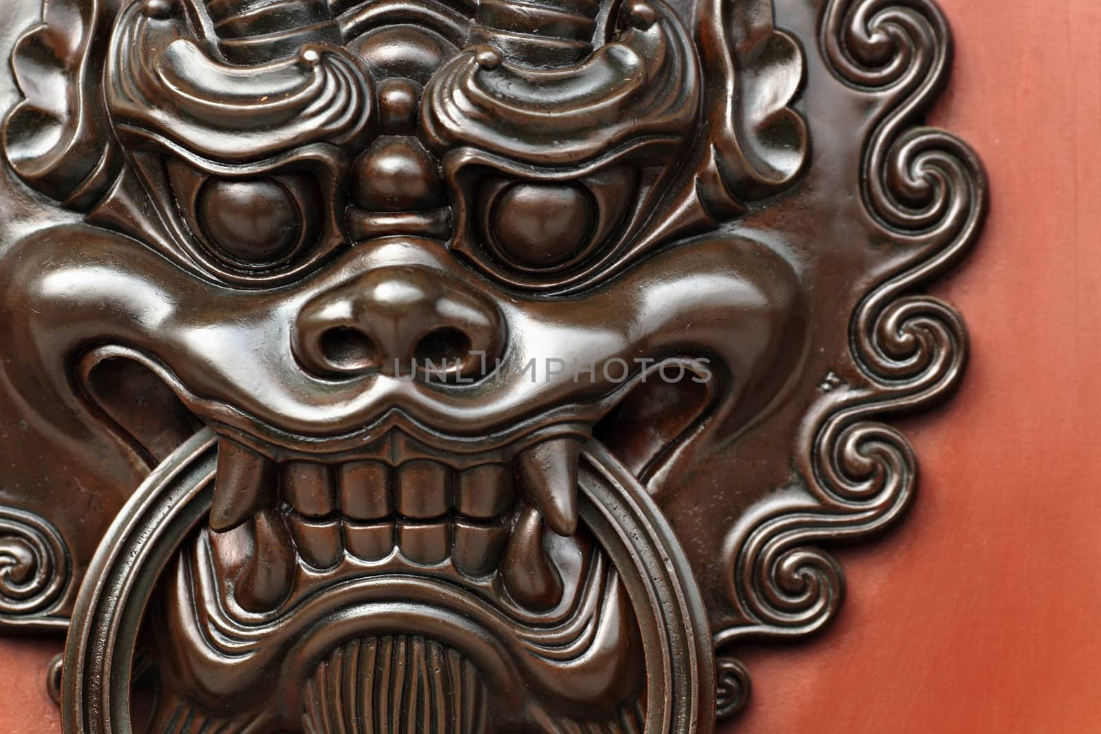 lion door knob