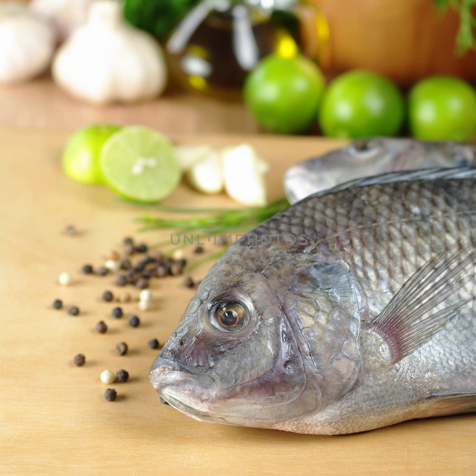 Fish Called Tilapia by ildi