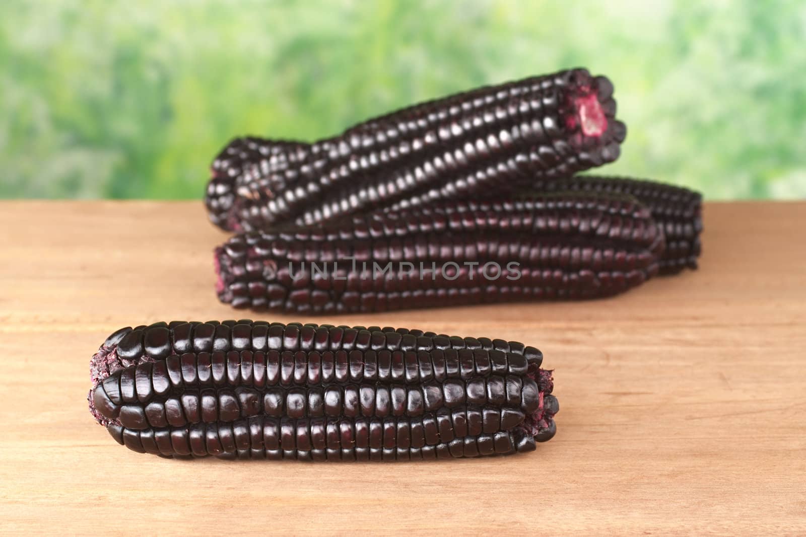 Peruvian purple corn, which is mainly used to prepare juice or a jelly-like dessert (Selective Focus, Focus on the corn in the front)