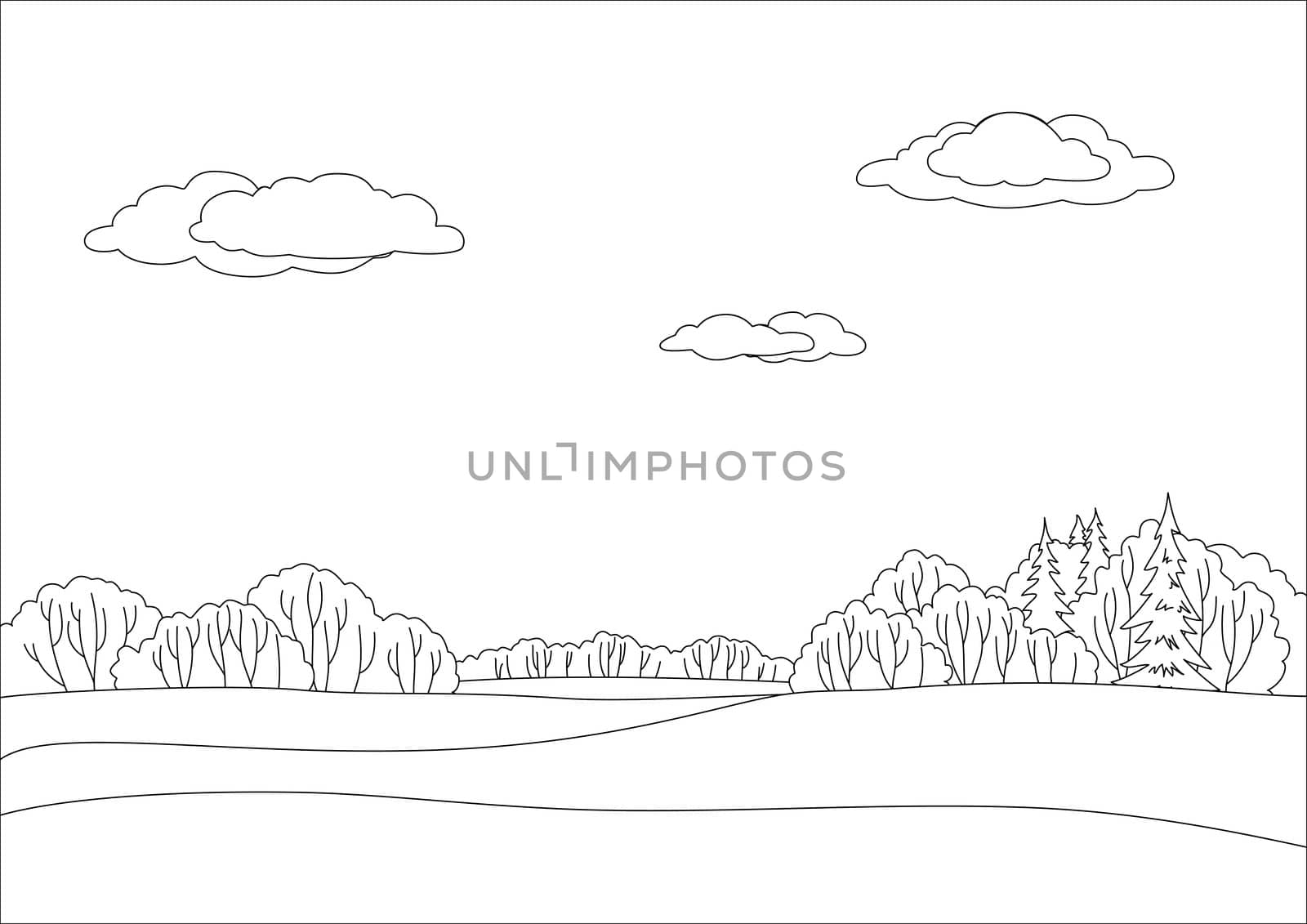 landscape, monochrome contours: forest and sky with clouds