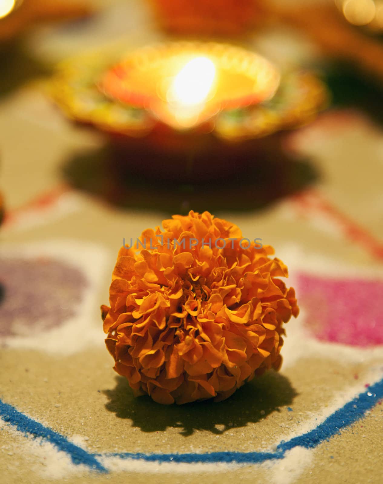 marigold with diwali light backdrop at Indian festival