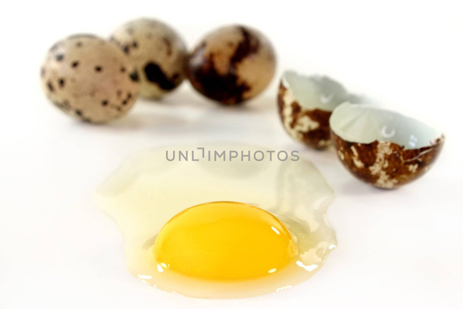 an open quail egg on a white background
